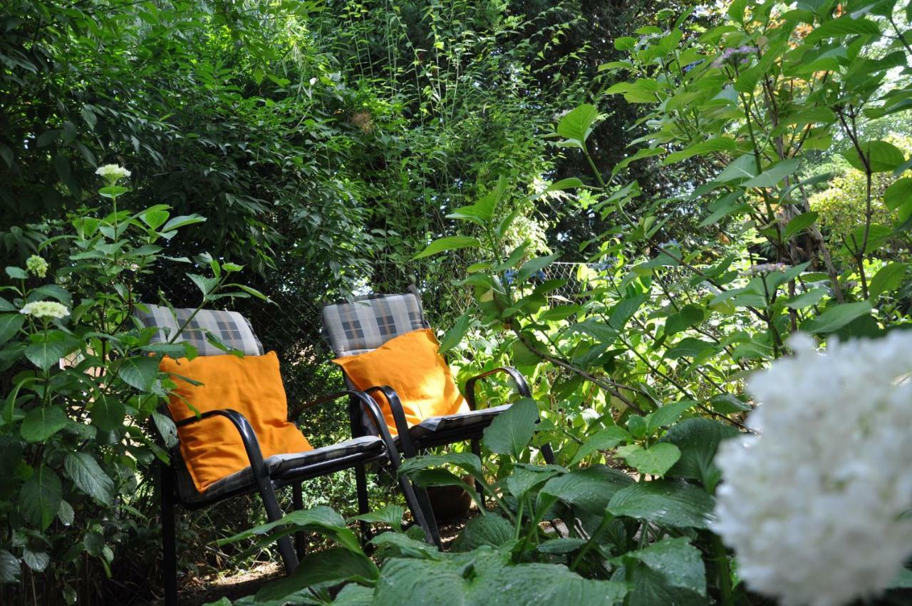 Ferienwohnung Am Waldrand Obernhain エクステリア 写真
